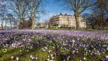 Hotels in Harrogate